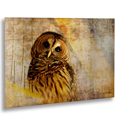 « hibou » par lois bryan, impression sur métal