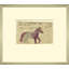 Mennonite Drawing, Purple Horse Giclee Print