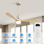 Ceiling Fan with LED Lights