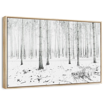 Langenargen Winter Forest
