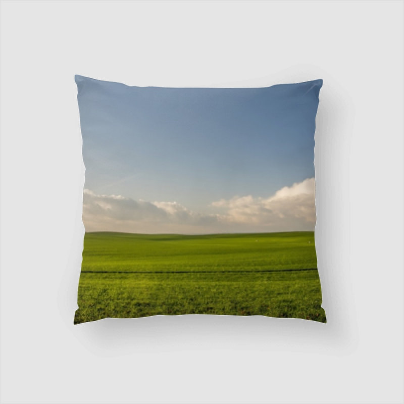 Housse de coussin Remus