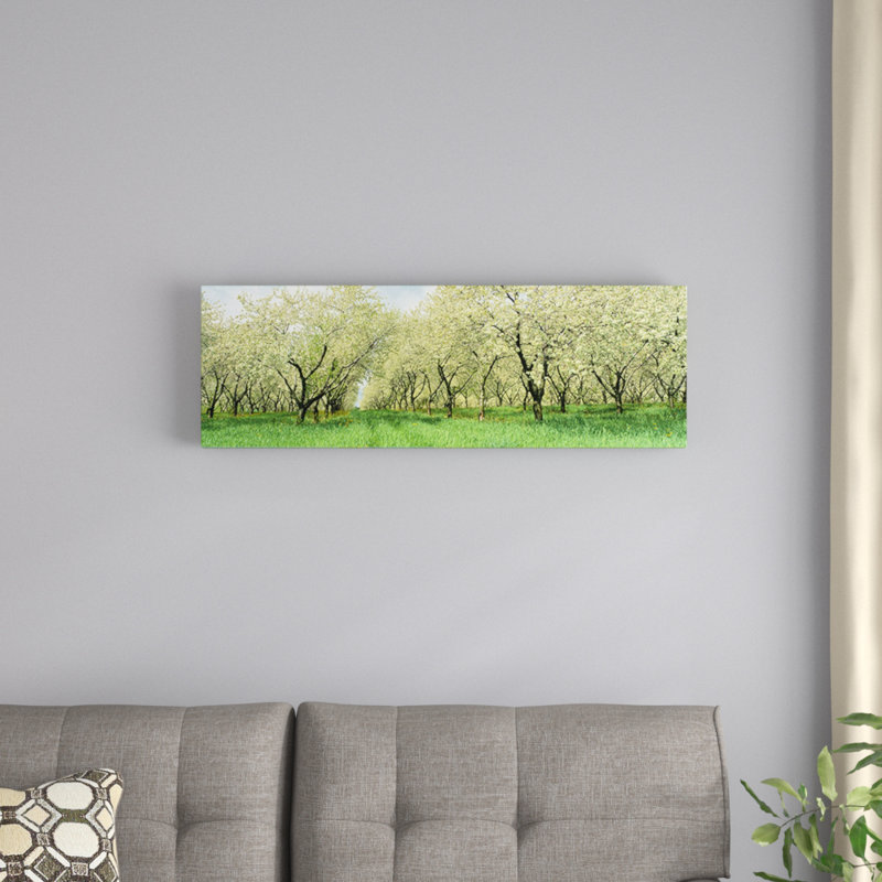 Rows of Cherry Tress in an Orchard, Minnesota - reproduction d'art sur toile tendue, H 16 po x l 48 po x P 1,5 po