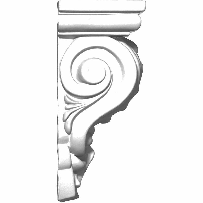 Palmier perlé Palmetto