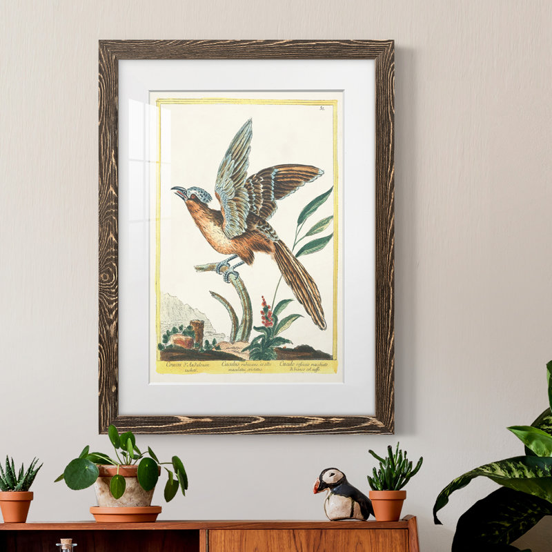 Cadre Pastel Birds IV Premium - prêt à accrocher, H 44 po x l 31 po x P 1 po, Encadré de bois de noyer