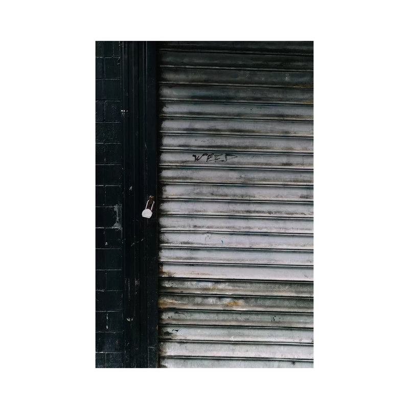 New York Weed by Bethany Young - Print on Canvas, Wrapped Canvas, 66.04cm H x 45.72cm W x 1.91cm D