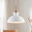 1 - Light Single Pendant-872087964