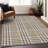 Machine Washable Indoor/Outdoor Chayden ACN1054 Rug-769902978