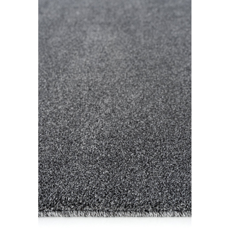 Rayyaan Solid Colour Machine Made Indoor / Outdoor Area Rug, Rectangle 160 x 250cm