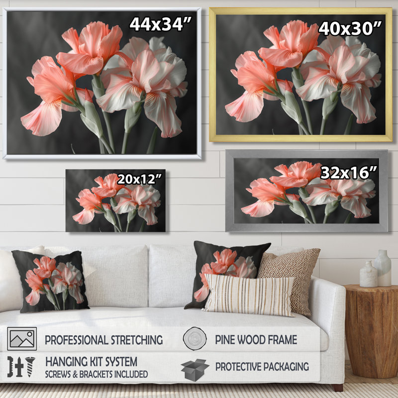 Rose, noir, jardin, glamour, iris - iris, art mural, Toile tendue, H 34 po x l 44 po