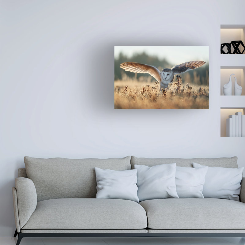 Art sur toile Michaela Firesova, H 22 po x l 32 po x P 2 po