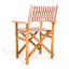 Directors Chair Table-1069273781