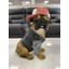 Bokoshe Animals Figurines & Sculptures