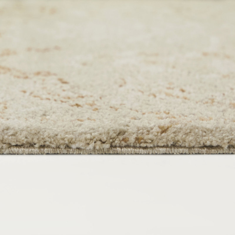 Taylor Beige/Rust Floral Transitional Area Rug, Rectangle 7'10" x 10'