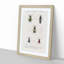 Beetle Illustrations PL.8 by Charles D'Orbigny - Single Picture Frame Print-55543856-55543858