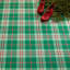 Jolly Plaid Green Machine Washable Rug-2033581938
