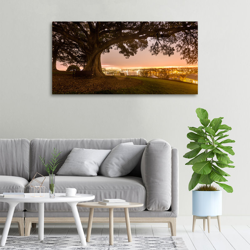 Old Tree - Wrapped Canvas Print