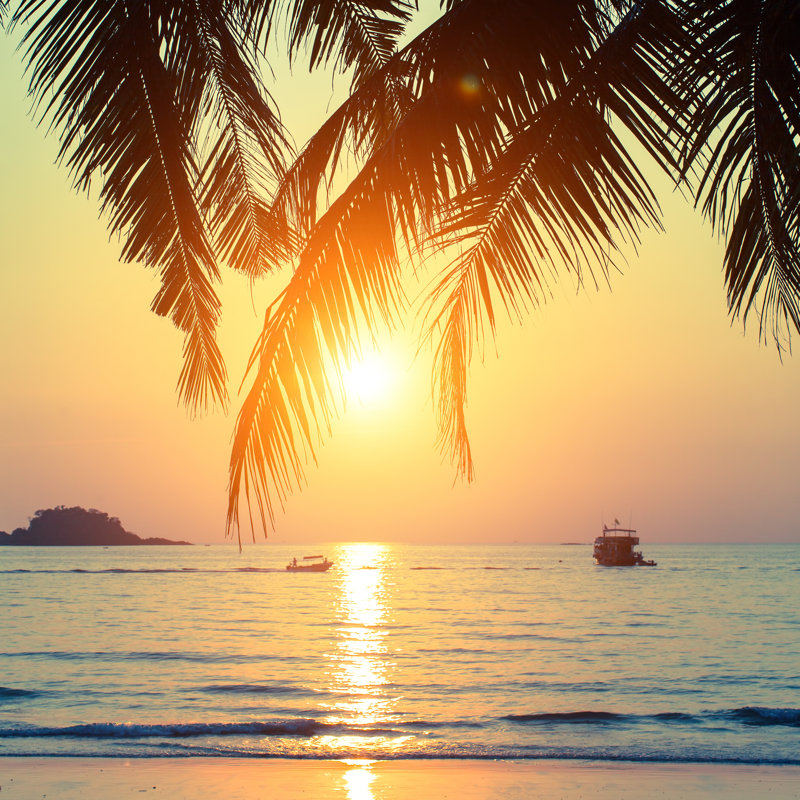 Beautiful Sunset by DimaBerkut - Wrapped Canvas Print, 122cm H x 122cm W x 3.8cm D