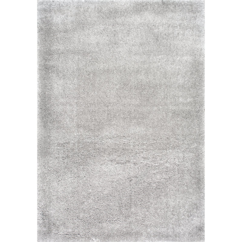 Andreanna Contemporary Performance Shag Light Gray Rug, Rectangle 3'2" x 5'