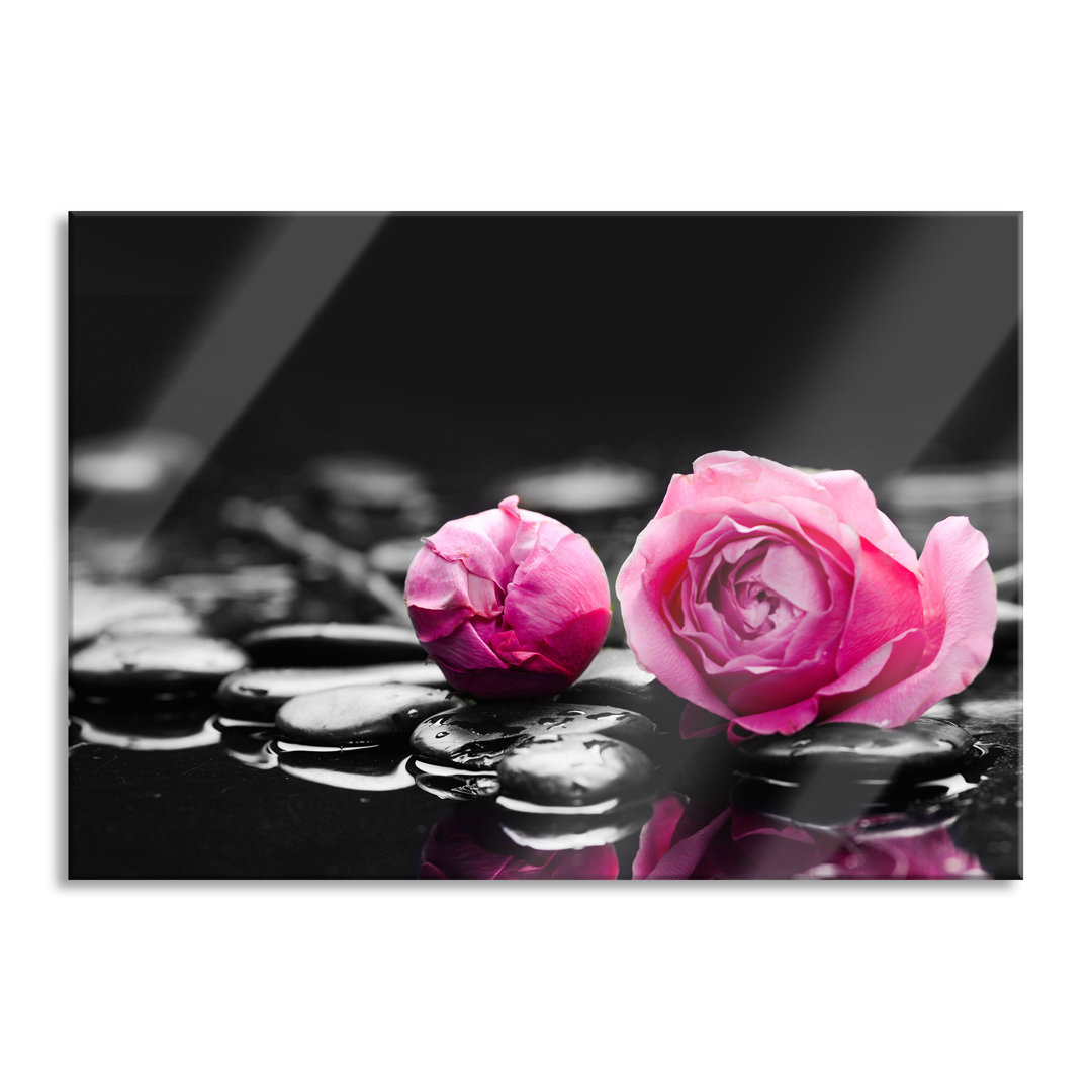 Glasbild Pink Rose Blossoms on Zen Stones