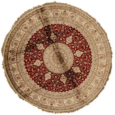 Oriental Area Rug
