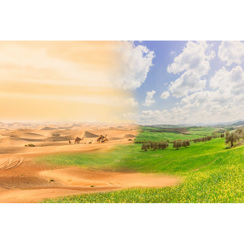 Desertification Process by Eureka_89 - Wrapped Canvas Print, 61cm H x 91cm W x 3.8cm D