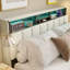 Upholstered Ottoman Bed-52165621