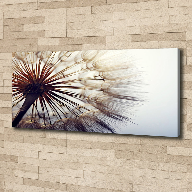 Dandelion - Wrapped Canvas Print