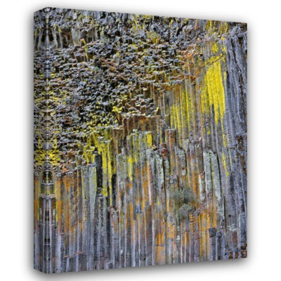Millwood Pines Terrill, art sur toile tendue par Steve Gallery, OR, basalte colonne recouvert de lichen