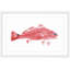 « red fish », reproduction d’art encadrée-20586169