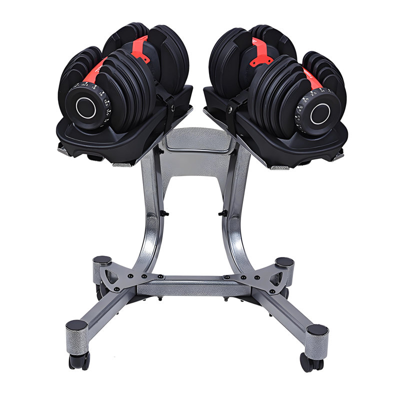 Support ajustable pour haltères en acier robuste avec sangles sécurisées pour la salle de gym à domicile
