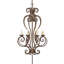 24 - Light Chandelier