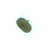 Vert mousse est en rupture de stock