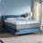 Sealy Dreamlife 14” Plush Foam Mattress-in-a-Box-99281171
