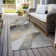 Machine Washable Indoor/Outdoor Cinead ACN1668 Gray Rug
