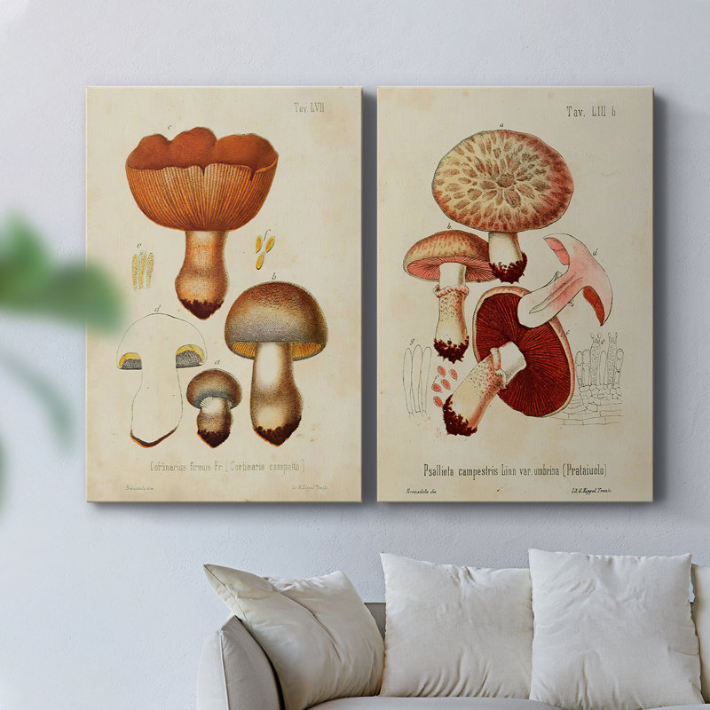 Toile tendue avec châssis Mushroom Variétés I-Premium - Prêt à être accroché, H 27 po x l 36 po
