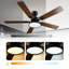 Ceiling Fan with LED Lights-350266708