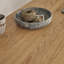 Lika Writing Desk-435547531