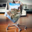 Coussin Seascape-29460226-29460222