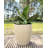 Amsterdan Pot Planter-50341602-50346400