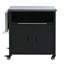 Chariot de barbecue pliable pour l'extérieur-2003421865