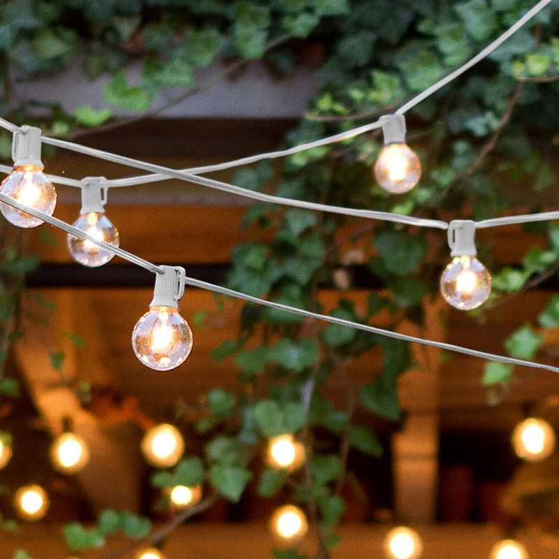 Ambience Pro Globe 312" LED Waterproof Outdoor String Lights
