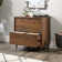 Gerrod 29.53'' Wide 2 -Drawer Mobile File Cabinet