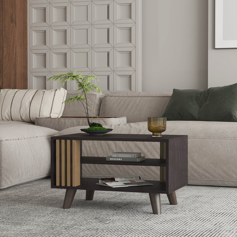 Table basse en wengé et chêne naturel avec rangement ouvert, alliant charme rustique et élégance moderne pour les essentiels du salon.