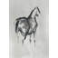 Gray Stallion II Print by Jacob Lincoln-26762944-26762945