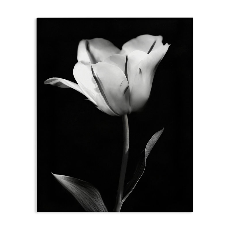 Toile moderne contrastante tulipe moderne, design par CAD Designs, H 20 po x l 16 po