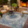 Ornate Lamotte Indoor/Outdoor Area Rug