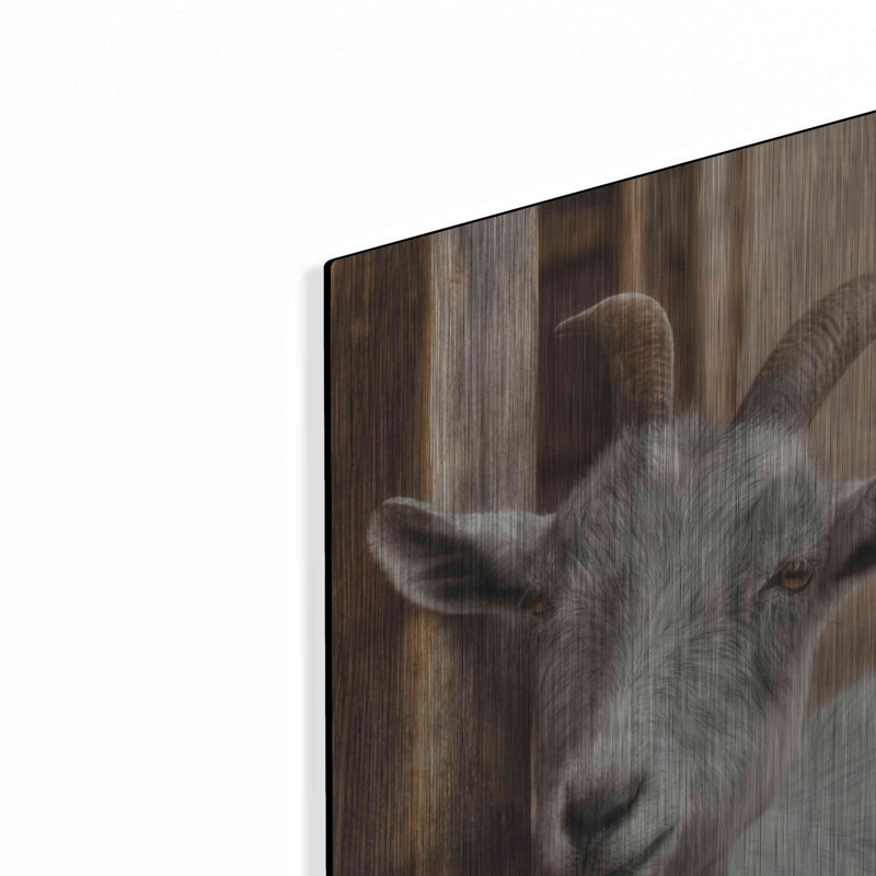 «Grey Goat» par Lori Deiter, H 24 po x l 16 po
