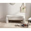 Adryann Plastic Storage Bench