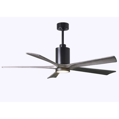 Patricia 60'' Ceiling Fan with LED Lights