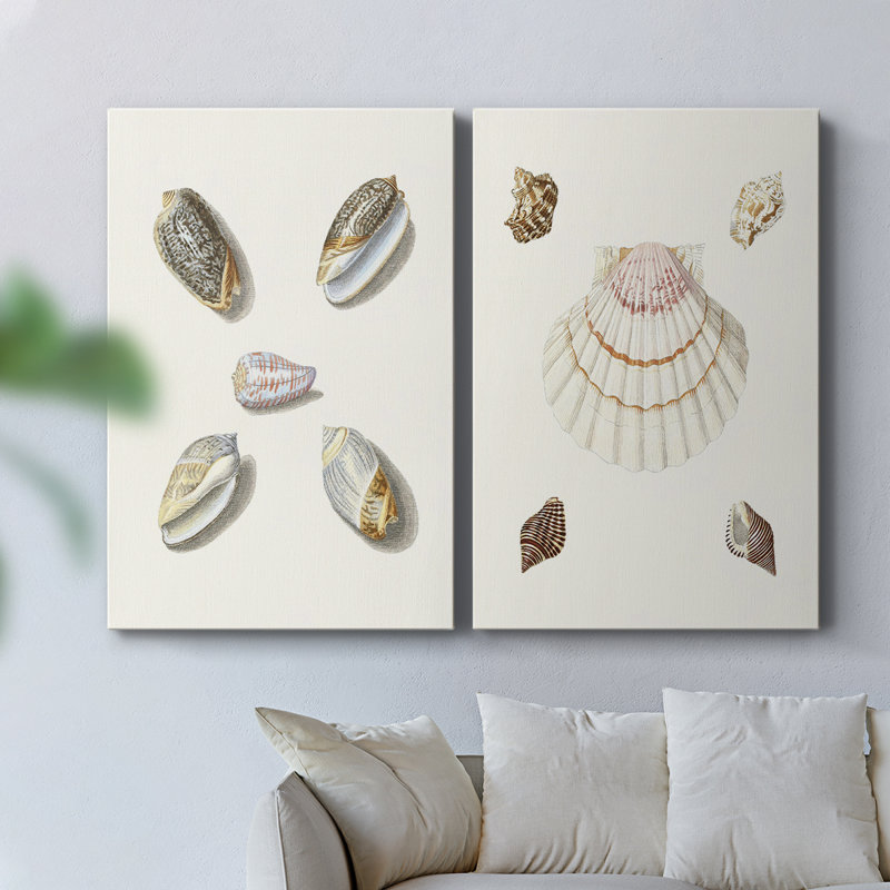 Pastel Knorr Shells III - Toile tendue avec châssis de qualité supérieure - Prêt à être accroché, H 18 po x l 12 po